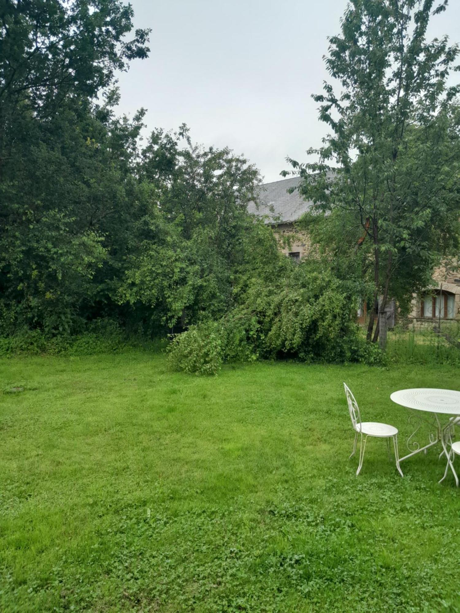 La Petite Salamandre Bleue La Croisille-sur-Briance Zewnętrze zdjęcie